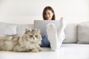 Online sessie: thuiswerkbeleid